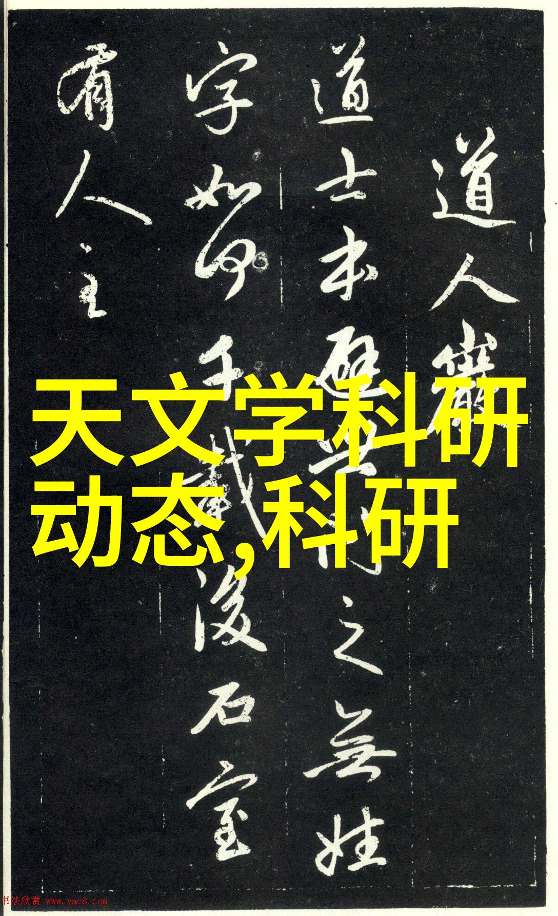 西南财经政法大学我在这里的奇妙日子从书包到梦想的校园故事