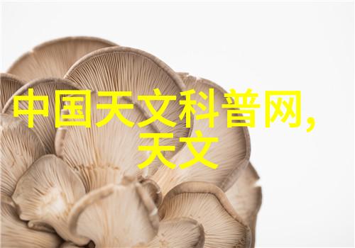 生物膜结构与功能的奥秘探索蛋白质脂質和糖类的协同作用