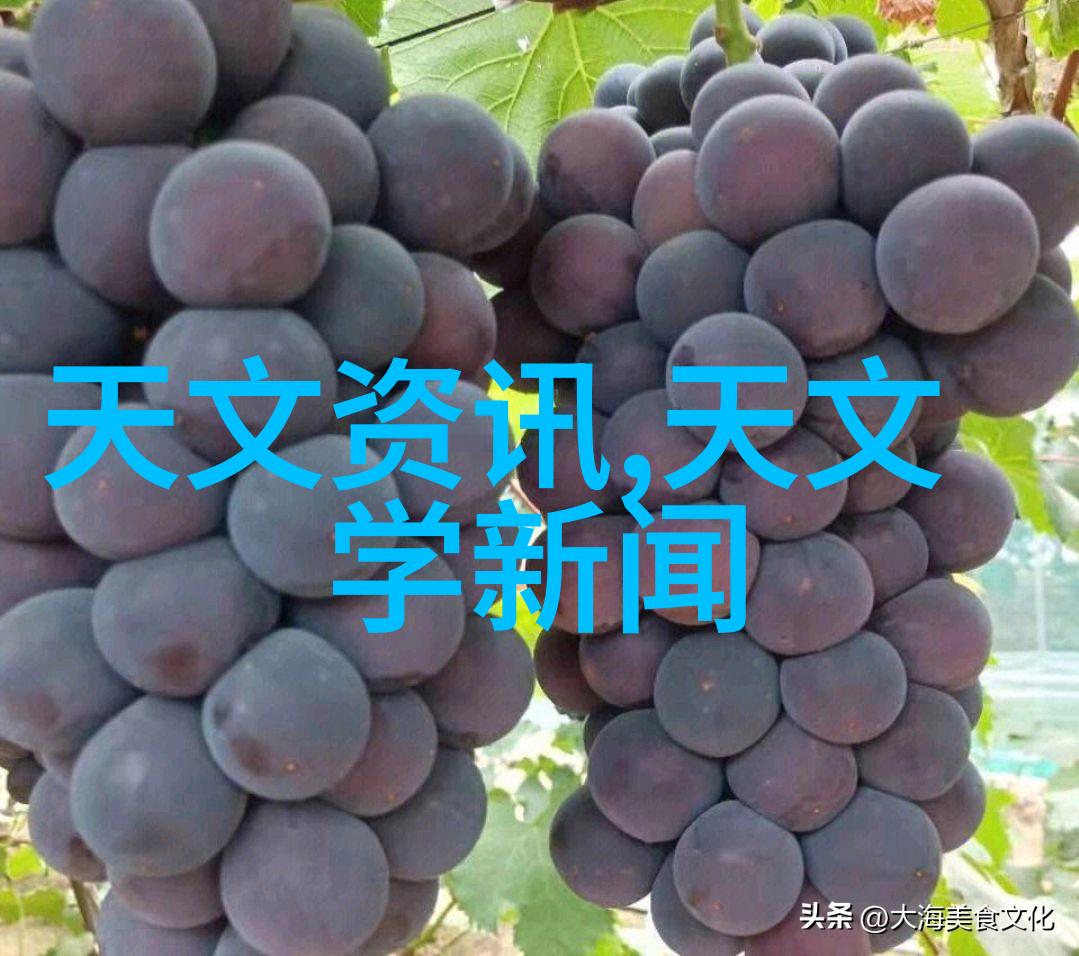 化学实验室仪器设备大全探索科学研究的精密工具