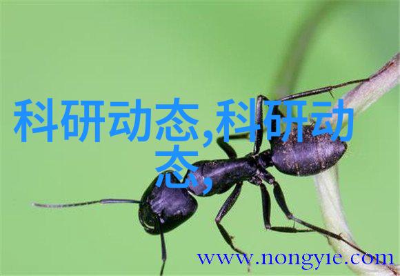 全自动立式高压灭菌锅安全效率与创新结合的食品处理新标准