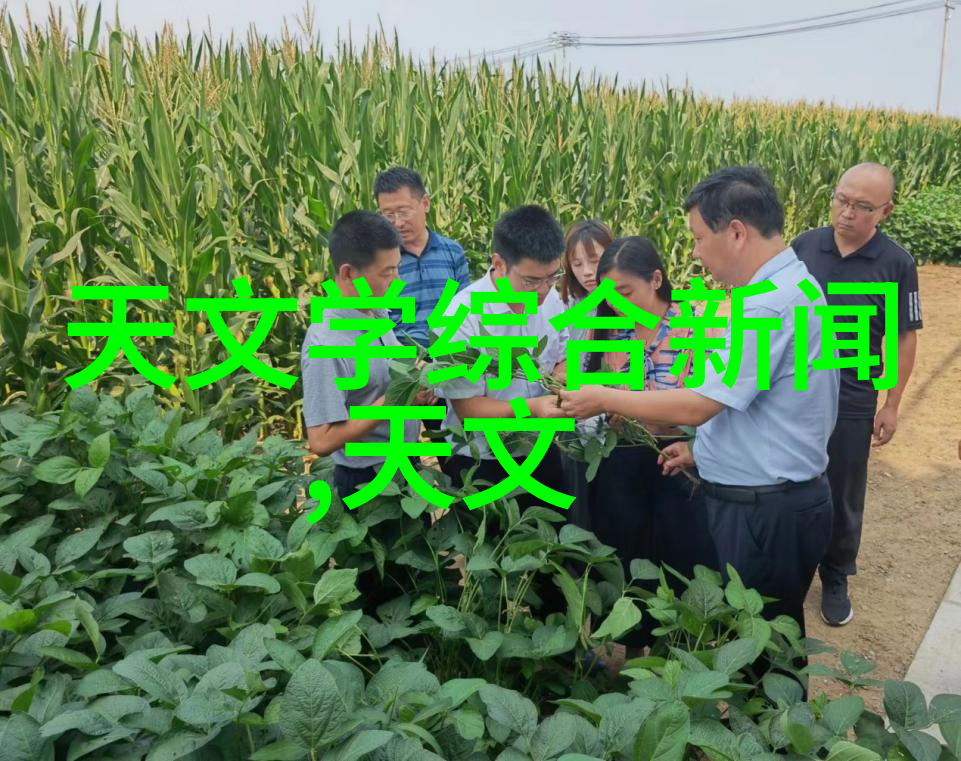 环境友好色彩绽放专注于喷漆房废气处理设备的领先制造商