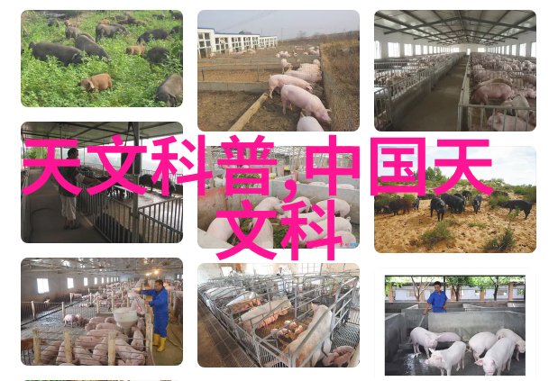 塑料反应釜生产厂家-高效环保工艺的关键设备供应商