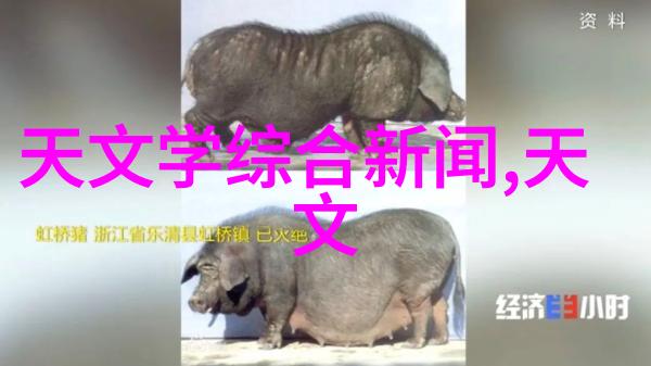 机翼之舞