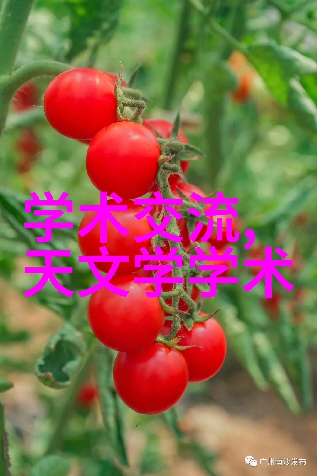 小型废气处理机高效低排污环境保护设备