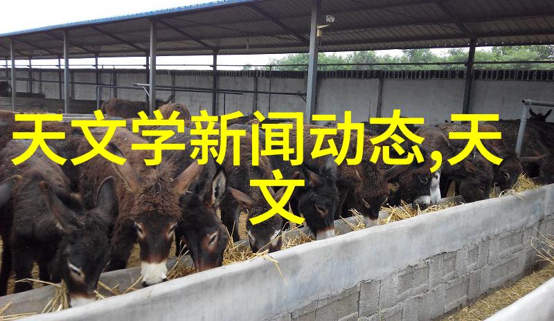 和邻居换娶妻3俺也来试试看