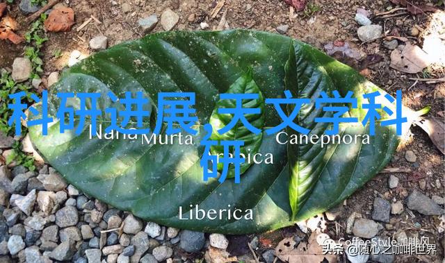 布袋除尘器应用中的布袋厂家选择与性能评估研究