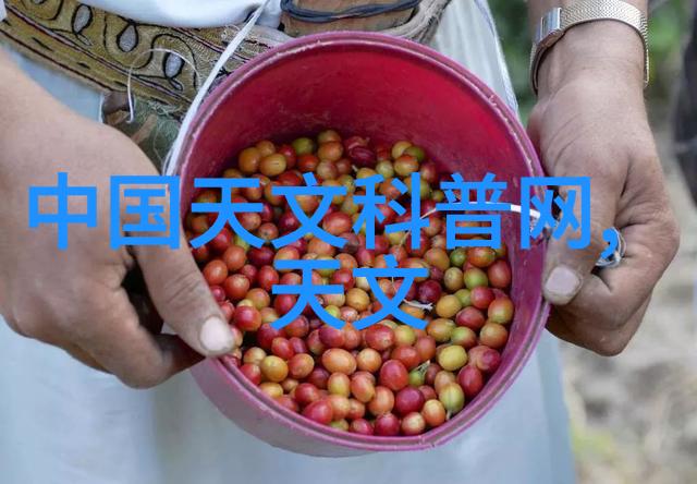 厨房吊顶装修效果图创意设计与实用功能的完美融合