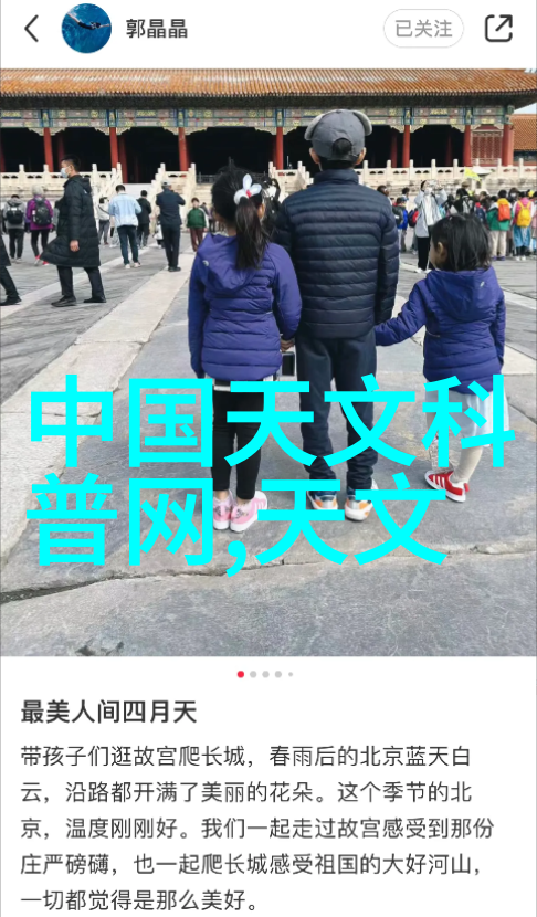 波纹丝网静谧森林的机械心跳