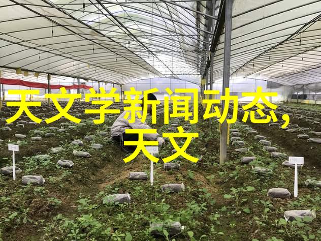 碧血洗银枪txt下载我是如何在网上找到的那本改编自古典小说的热门文本