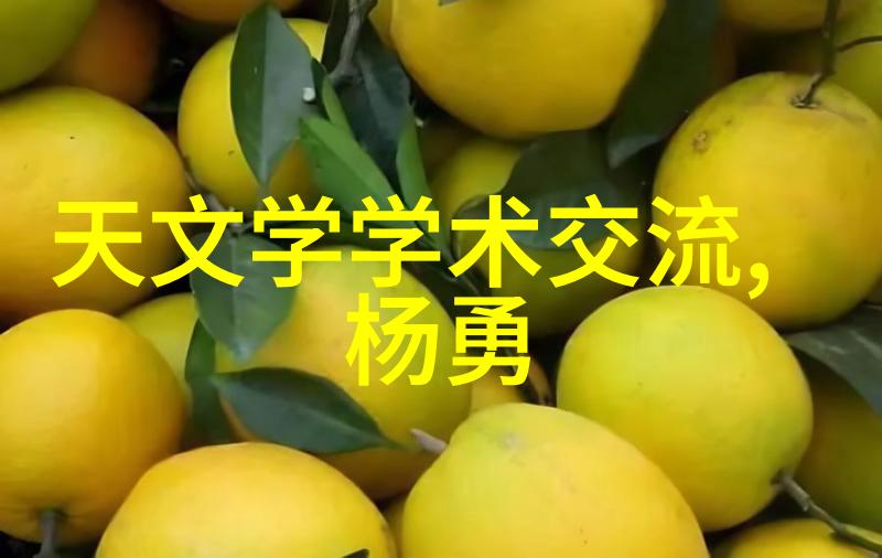 图1: 别墅式碟式前悬系统