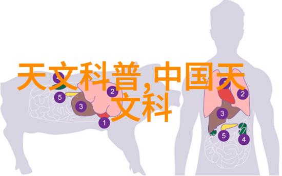 管式螺旋输送机效率提升与物料传输新标准