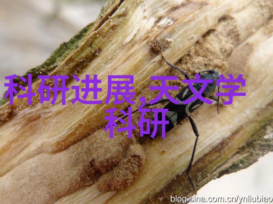 平板电脑新品轻薄便携的智能工作伙伴