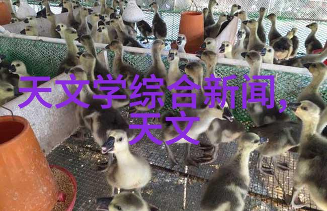 蒸汽交融热能的诗篇
