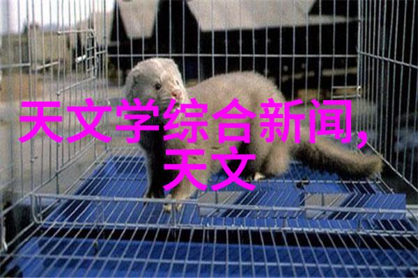 小米旗舰新品发布会亲眼见证科技的新篇章