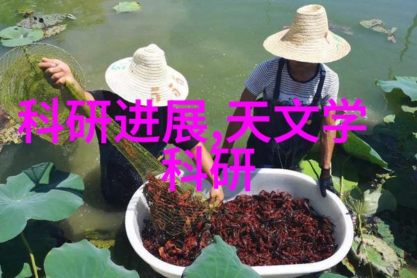 不锈钢波纹填料概述 - 耐腐蚀的选择不锈钢波纹填料的应用与优势