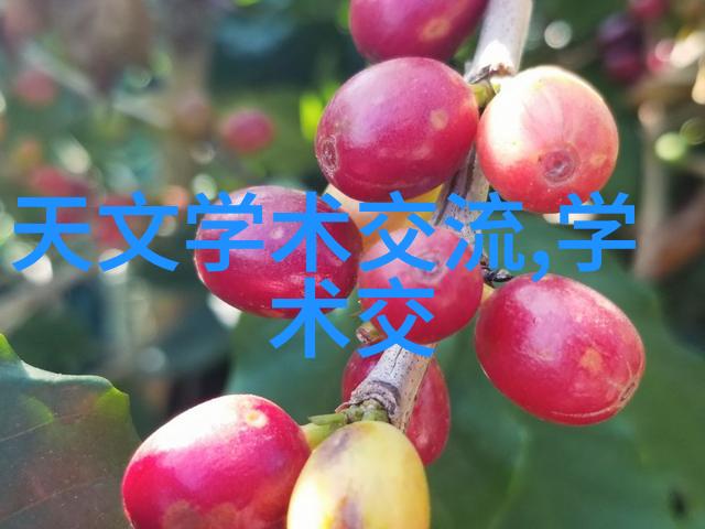 1012对辊制砂机-高效强化材料生产深度剖析1012对辊制砂机的应用与优势