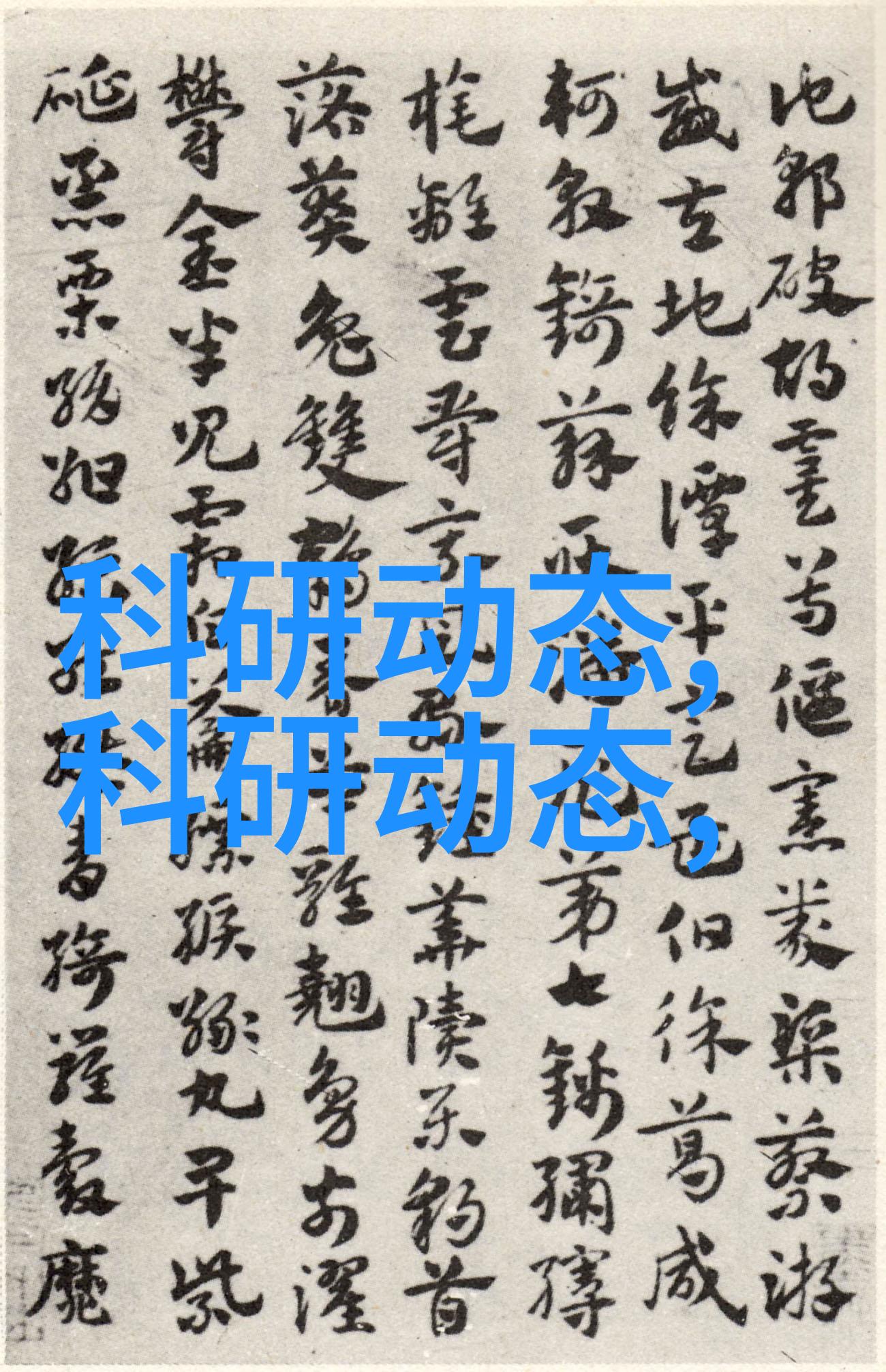 爱情岛论坛免费一探索心灵连接的奇妙世界