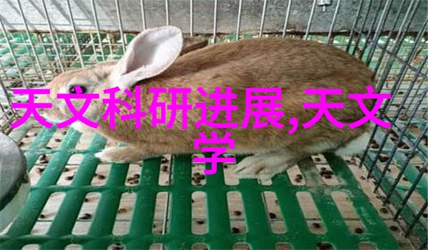胶体磨技术与应用粉碎精细创新制造
