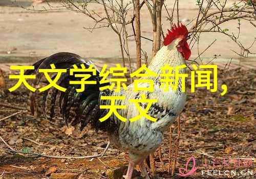 厨房电器装修小故事中的一角