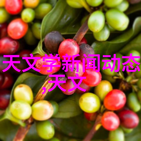 长春财经学院学术金融研究与实践