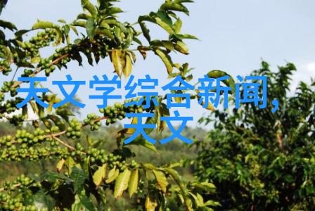 高效能的温控探索三温区管式炉的工作原理