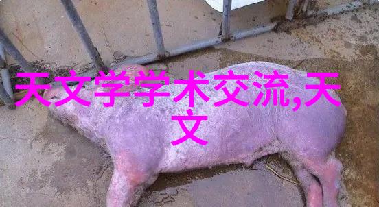 干燥设备设计原理与实践提高物料水分控制效率的关键技术
