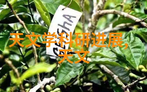 电力巨擘长江股份股市表现解析