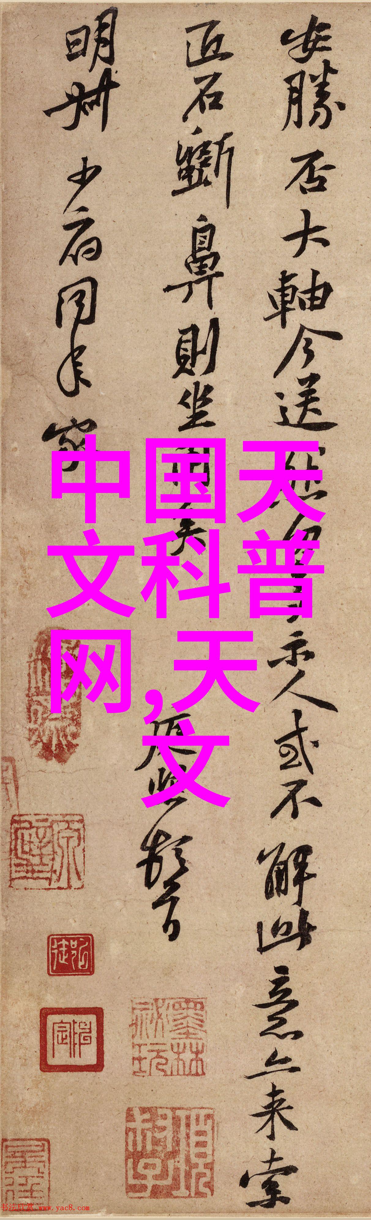东北财经大学校园生活东北财经大学丰富多彩的学生活动