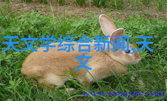从校园到社会  云南财经大学师资培养实践路径分析