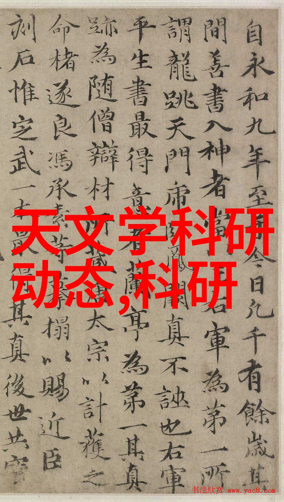 不锈钢矩鞍环填料标准金属之心的完美编织