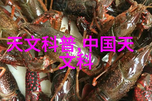 深度探索未来的矿石解锁之机器