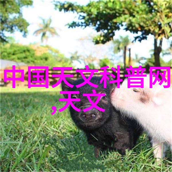 未来科技趋势如何预见新的分离技术将是怎样的