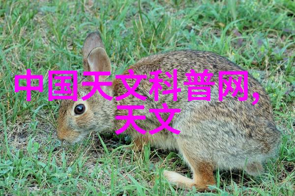 大规模生产中使用的高效氯化钒湿法装置设计优化