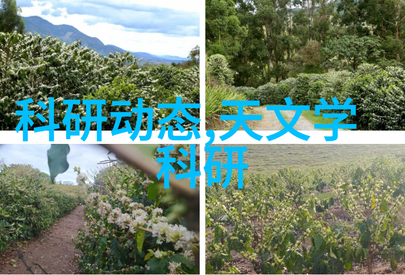 冷气贮藏设备的节能与环保