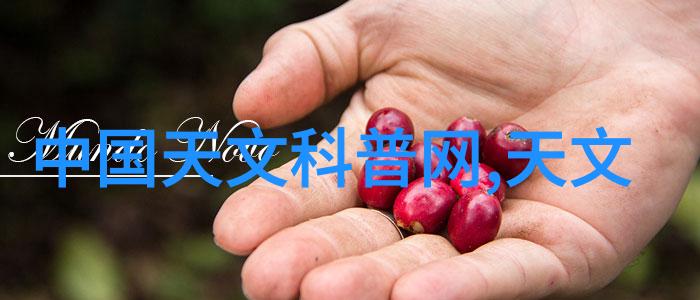 在家也能做到的自我提升使用八个核心指标进行自我评价