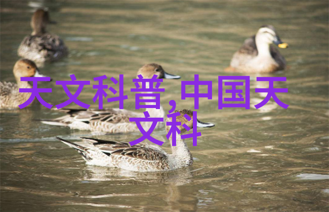 止渴军婚1V1H作者秋韵我和他在沙漠里的爱情故事秋韵的军婚日记
