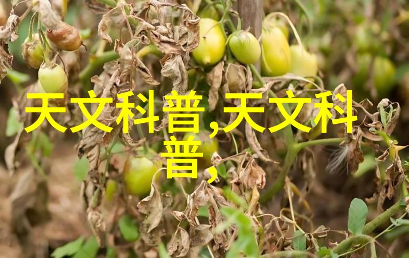 化工压力仪器-高精度测量的关键深入了解化工压力仪器的应用与选择