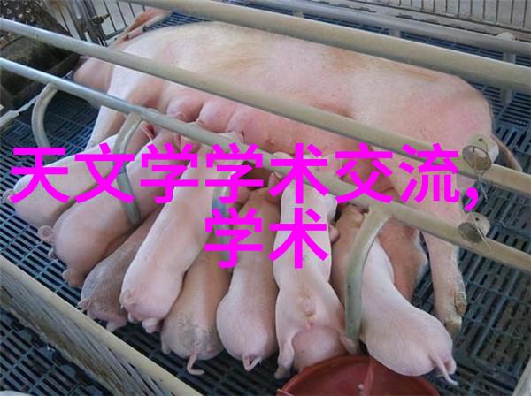 家居改善 - 装修大作战首先做好这些步骤避免后续的烦恼