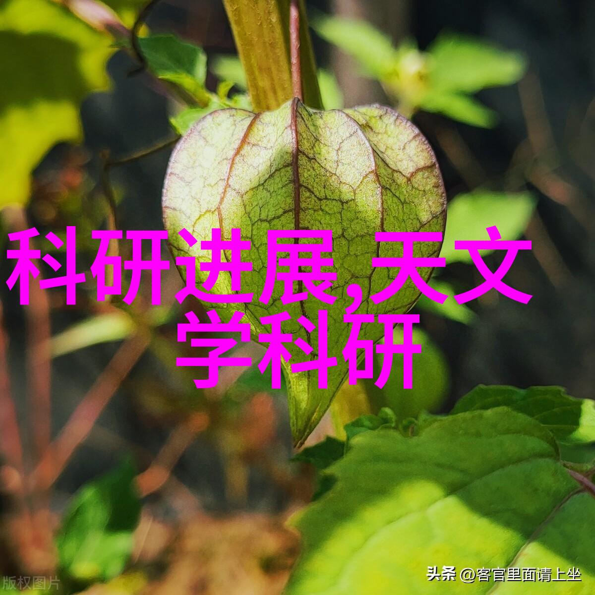 电蒸汽发生器终极能源革命的秘密之谜