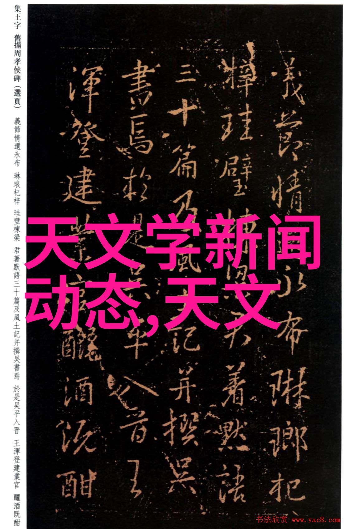 未知报告揭开隐秘工作汇报背后的神秘事件