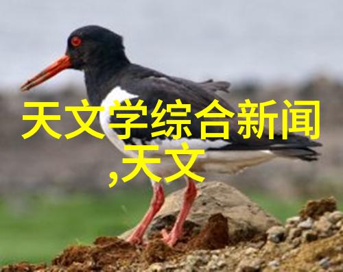 智能探索八大测试量表背后的智慧之谜