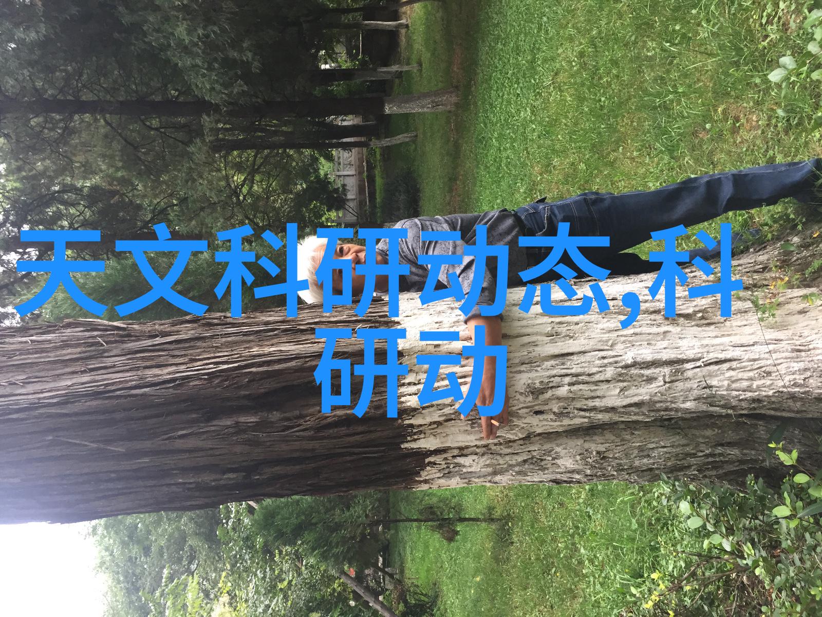 中式装修艺术古典韵味与现代风格的完美融合