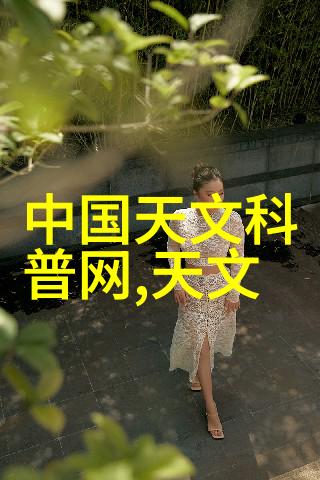 中南财经政法大学的学术地位探究985或211项目学校