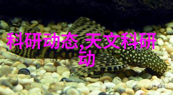 等离子空气消毒机价格变动近期有哪些优惠