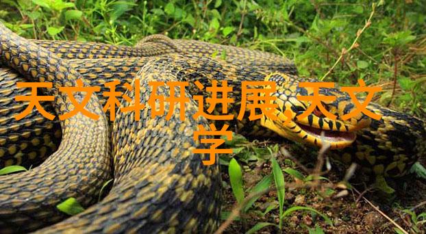 双胞胎一前一后夹心饼干双子甜蜜的同生共死
