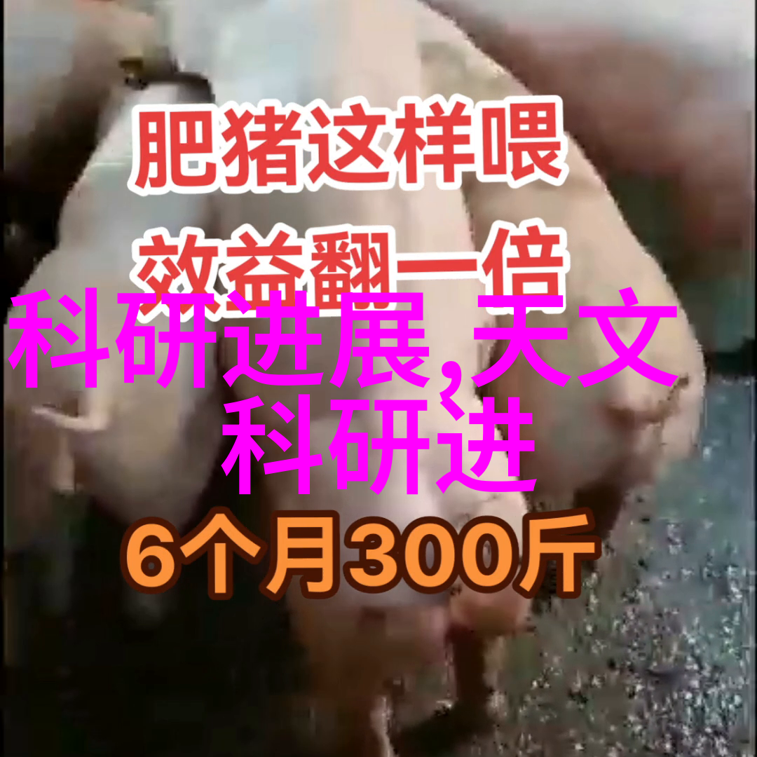 草莓丝瓜榴莲秋葵夏日水果盛宴