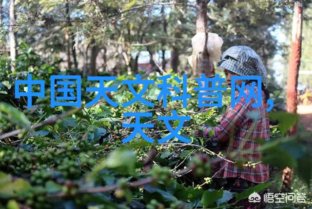 秋日新颜秋装新品大集合