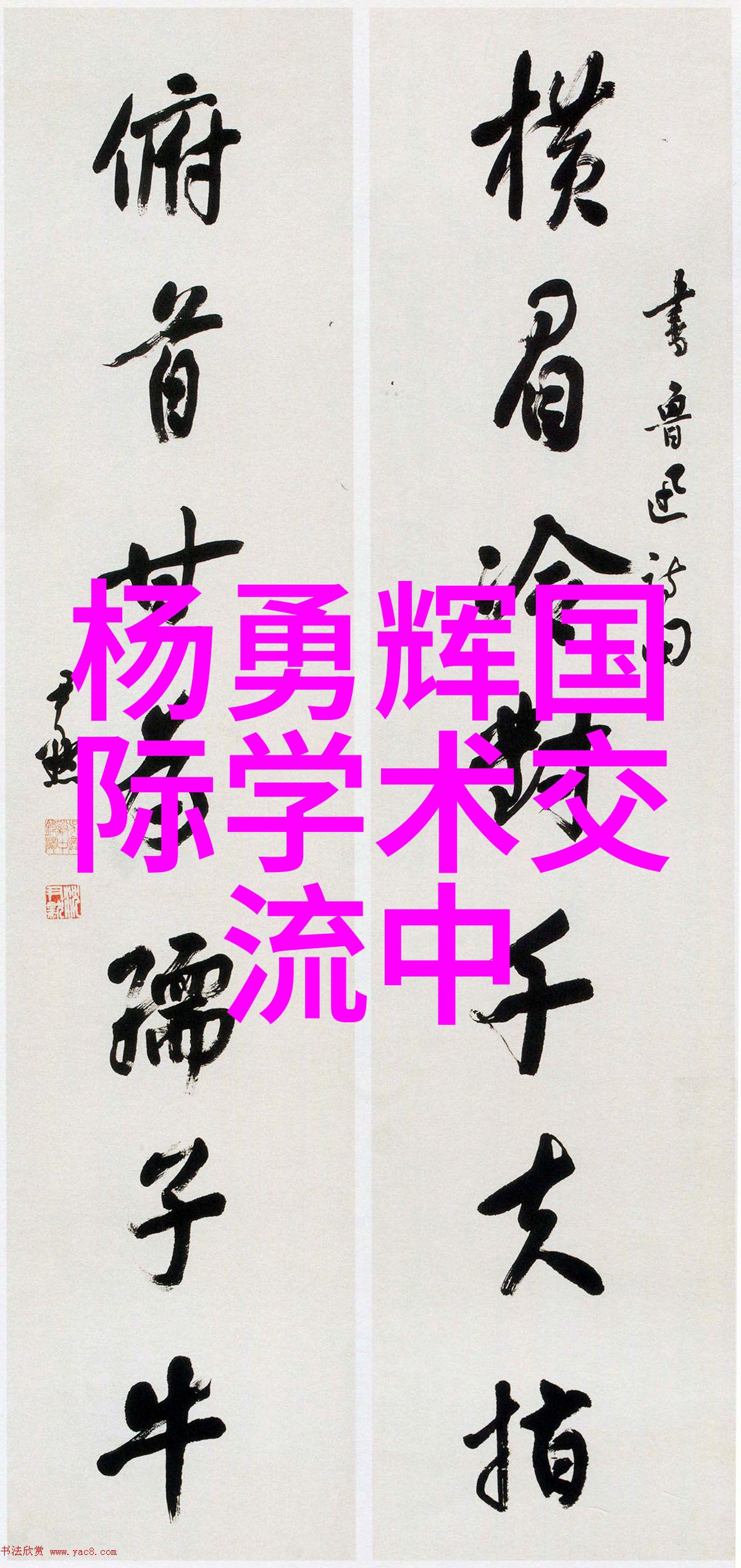上海洗霸揭秘一线城市清洁工的日夜奋斗与荣耀