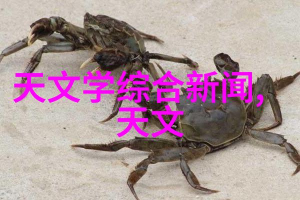 河南职业技术学院技艺传承的绿水青山