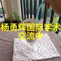 往复泵的节奏引擎心脏与液体循环的和谐